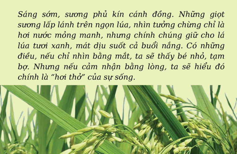 Giữa hữu hình và vô hình